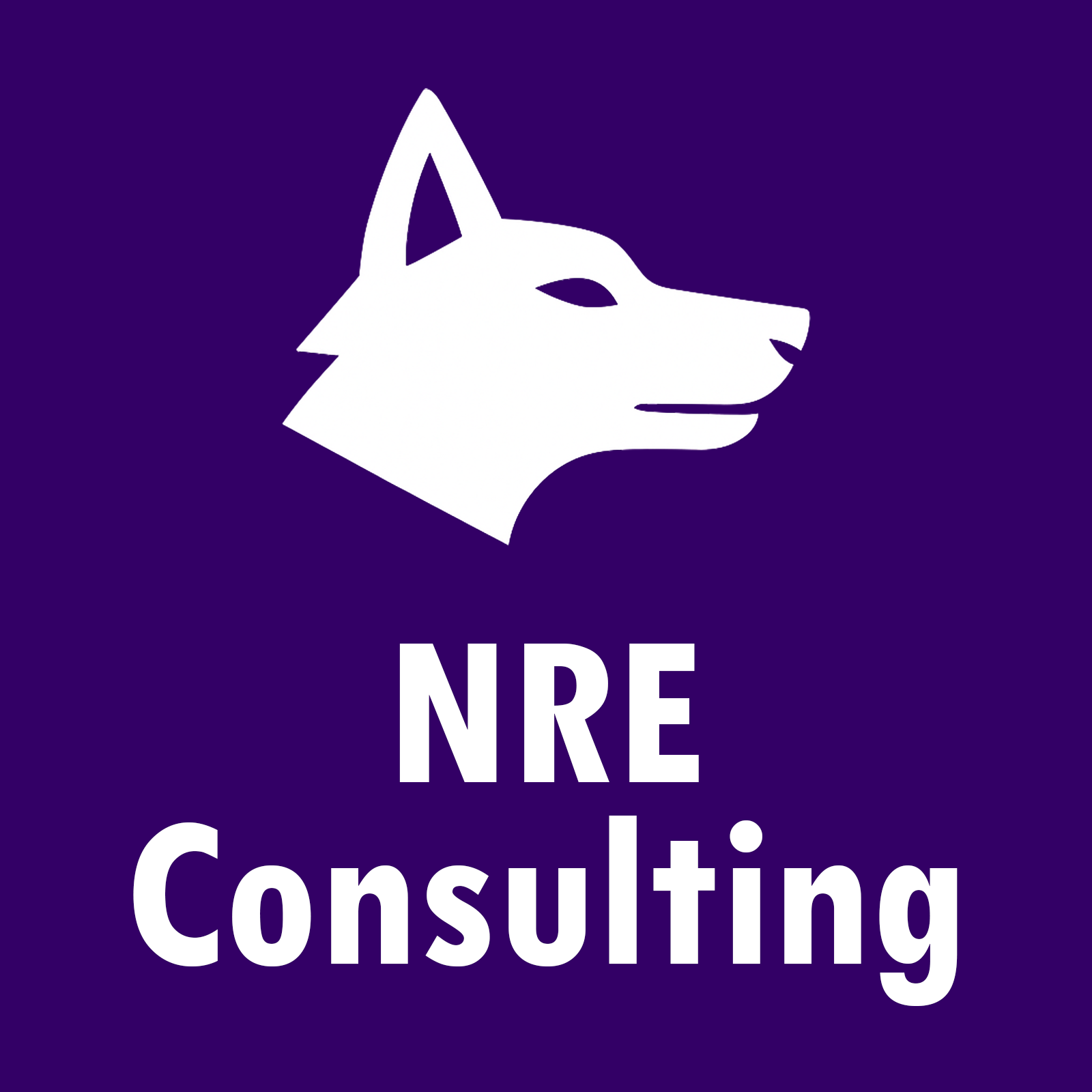 logo NRE Consulting SAS